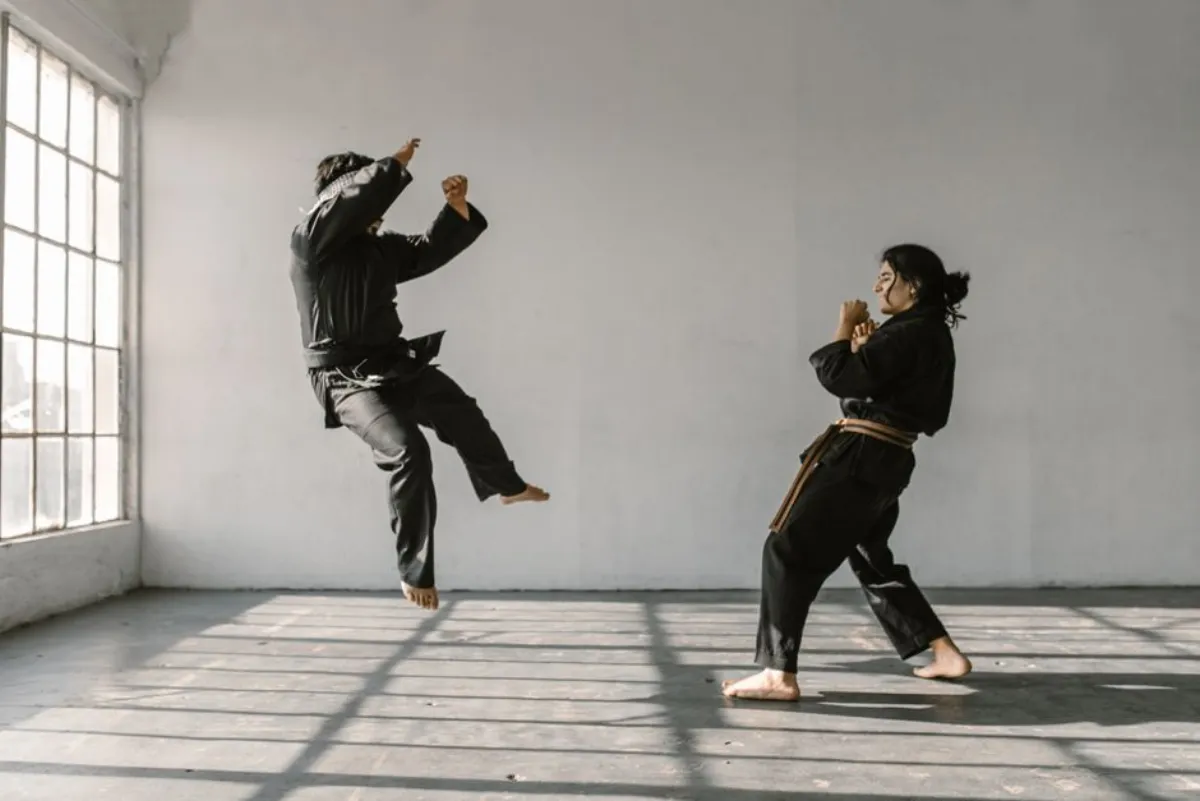 kung fu fight