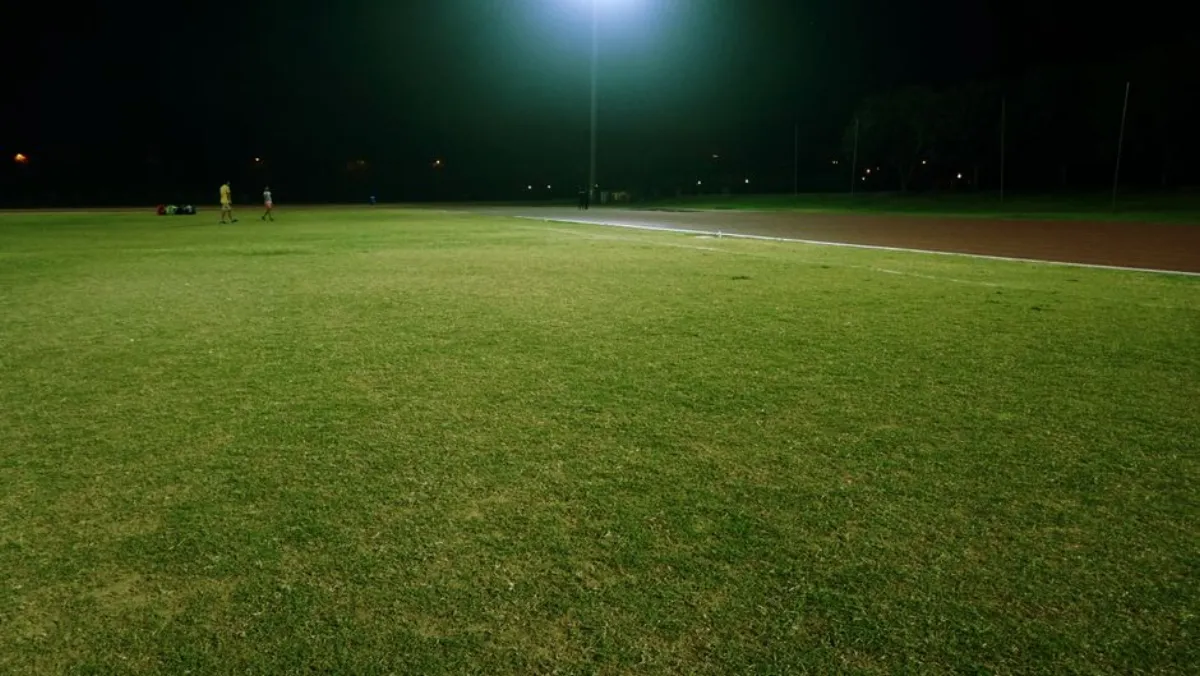 night grassland